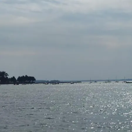 Au Bord Du Golfe Du Morbihan Bed & Breakfast